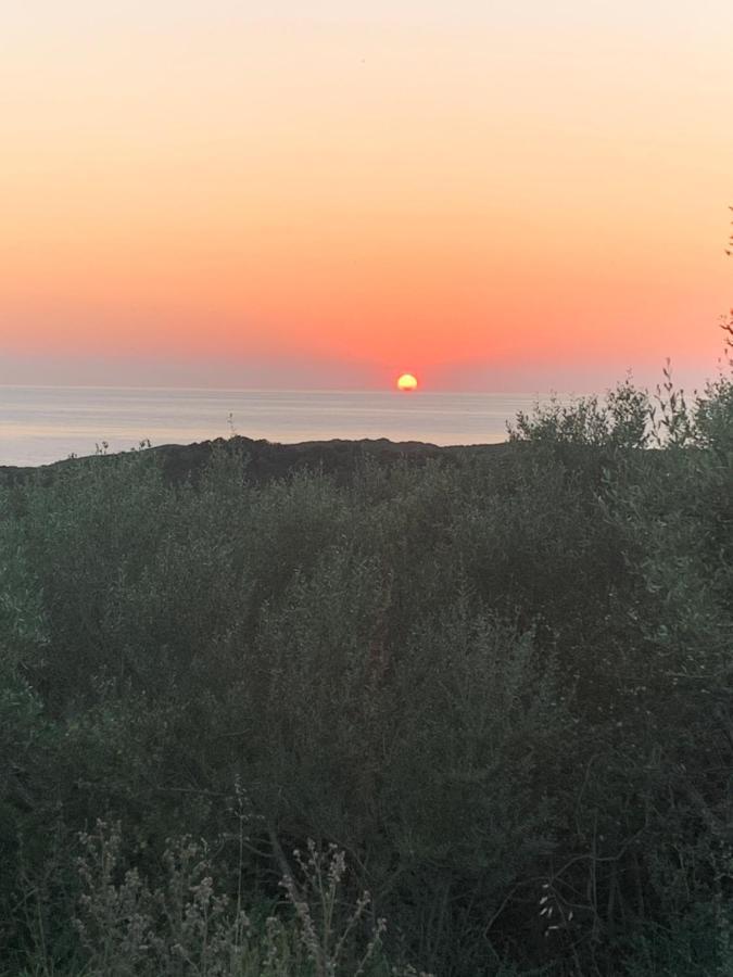 Stazzu Nuraghe Mannucciu Rena Majore Exterior foto