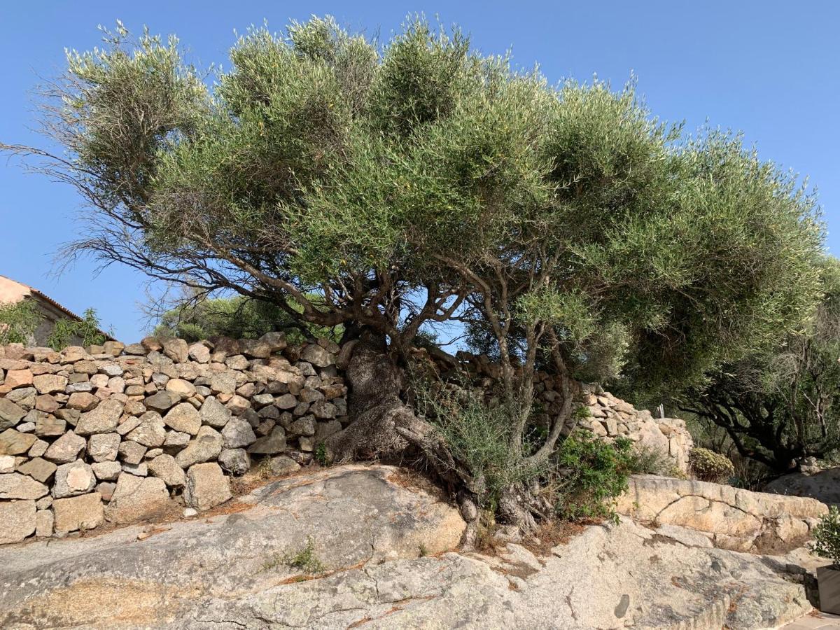 Stazzu Nuraghe Mannucciu Rena Majore Exterior foto