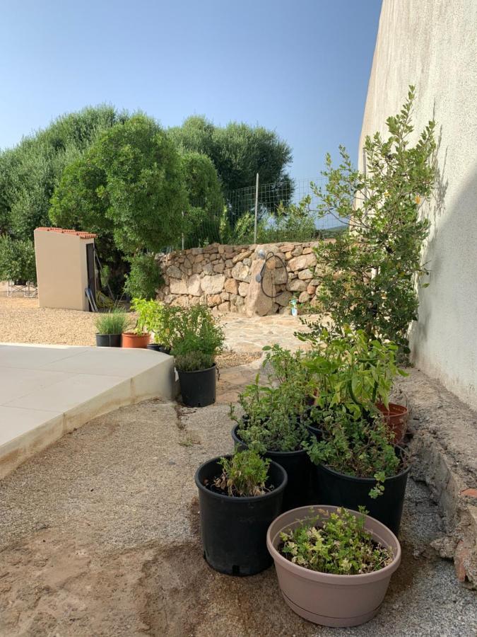 Stazzu Nuraghe Mannucciu Rena Majore Exterior foto
